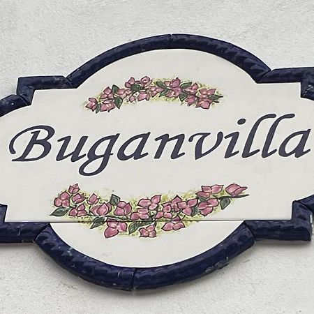 Buganvilla No 3 كيبوس المظهر الخارجي الصورة