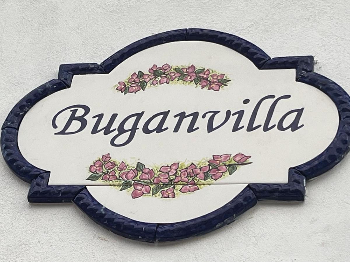Buganvilla No 3 كيبوس المظهر الخارجي الصورة